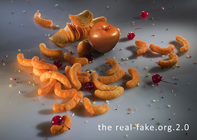 Real-Fake.org.2.0 exhibition image